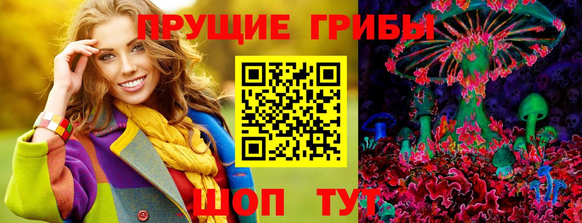 Псилоцибиновые грибы Cubensis Киров